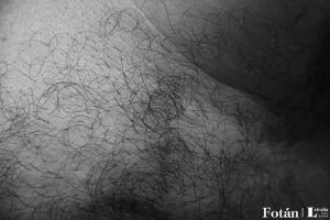 Fragmentos corporales, por Wilfredo Carrizales