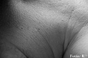 Fragmentos corporales, por Wilfredo Carrizales