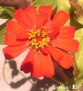 lafiestaeneljardin14