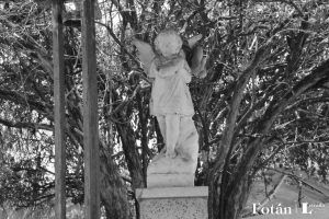 Naturaleza póstuma, por Wilfredo Carrizales