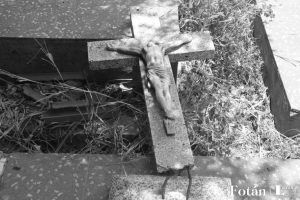 Naturaleza póstuma, por Wilfredo Carrizales