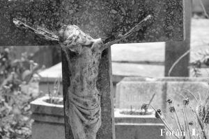 Naturaleza póstuma, por Wilfredo Carrizales