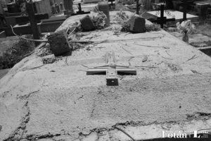 Naturaleza póstuma, por Wilfredo Carrizales