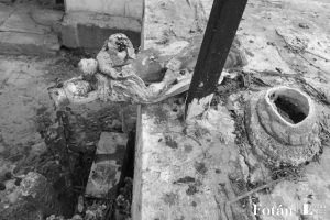 Naturaleza póstuma, por Wilfredo Carrizales