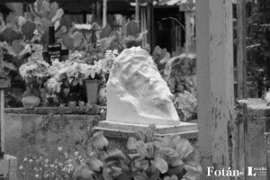 Naturaleza póstuma, por Wilfredo Carrizales