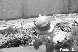 Naturaleza póstuma, por Wilfredo Carrizales