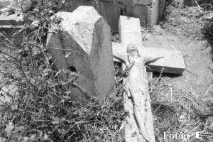 Naturaleza póstuma, por Wilfredo Carrizales