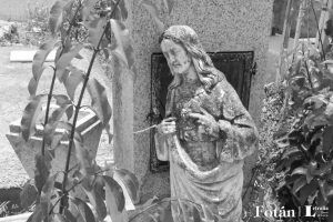 Naturaleza póstuma, por Wilfredo Carrizales