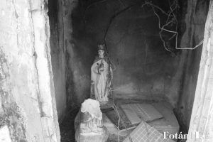 Naturaleza póstuma, por Wilfredo Carrizales