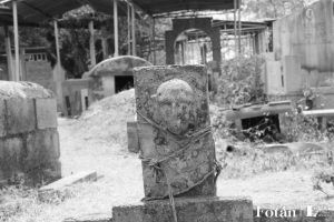 Naturaleza póstuma, por Wilfredo Carrizales