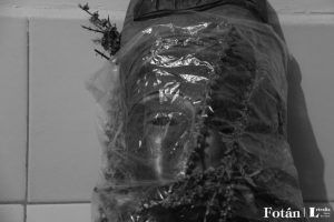 Rostros velados, por Wilfredo Carrizales