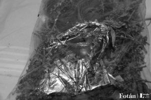 Rostros velados, por Wilfredo Carrizales