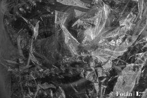 Rostros velados, por Wilfredo Carrizales