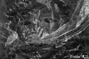 Rostros velados, por Wilfredo Carrizales