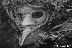 Rostros velados, por Wilfredo Carrizales