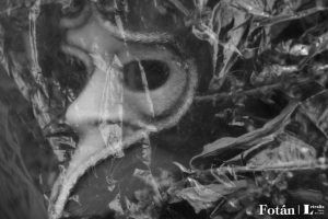 Rostros velados, por Wilfredo Carrizales