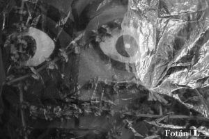 Rostros velados, por Wilfredo Carrizales