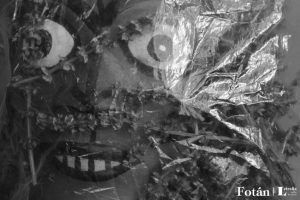 Rostros velados, por Wilfredo Carrizales