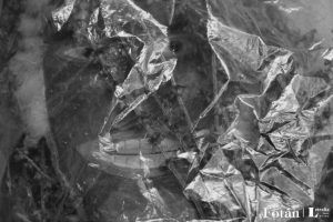 Rostros velados, por Wilfredo Carrizales