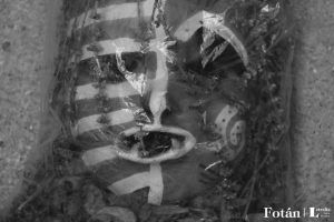 Rostros velados, por Wilfredo Carrizales