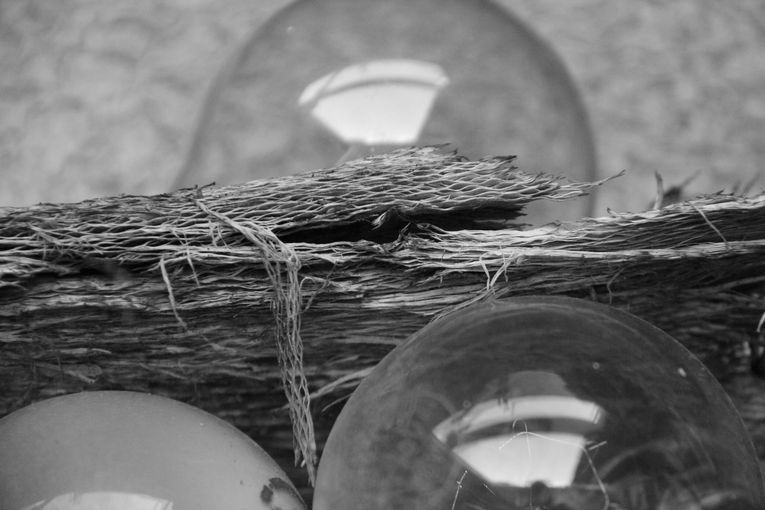 Unos días cualesquiera, por Wilfredo Carrizales