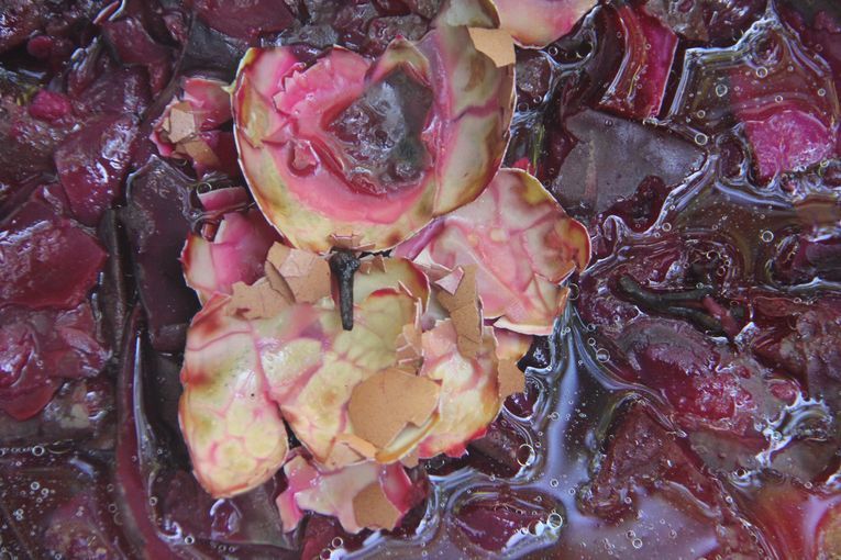 Ocasiones remotas, por Wilfredo Carrizales