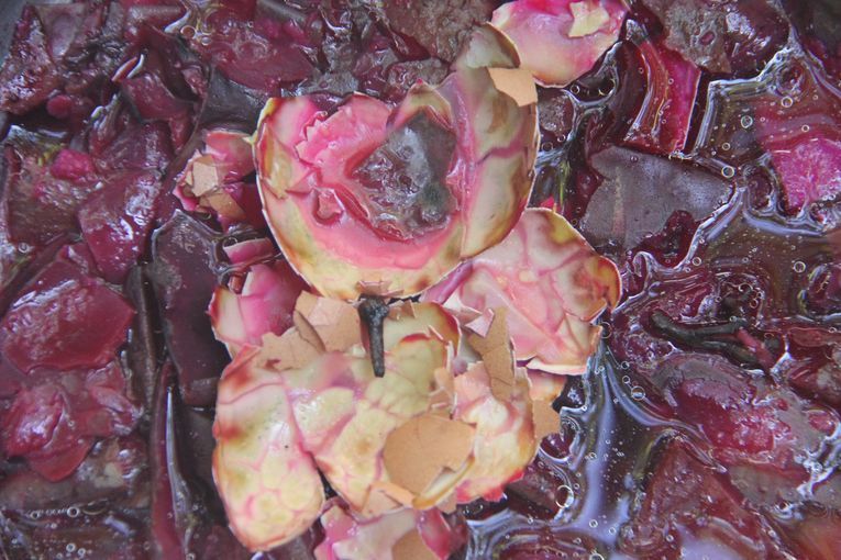 Ocasiones remotas, por Wilfredo Carrizales