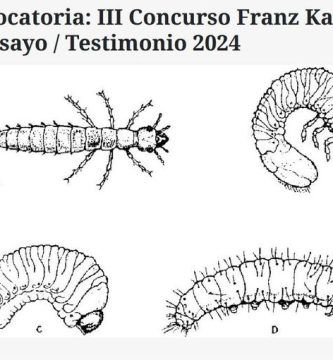 III Concurso Franz Kafka de Ensayo/Testimonio