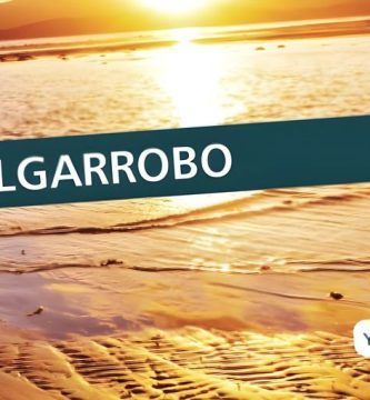“Algarrobo”, de Yahaira Salazar