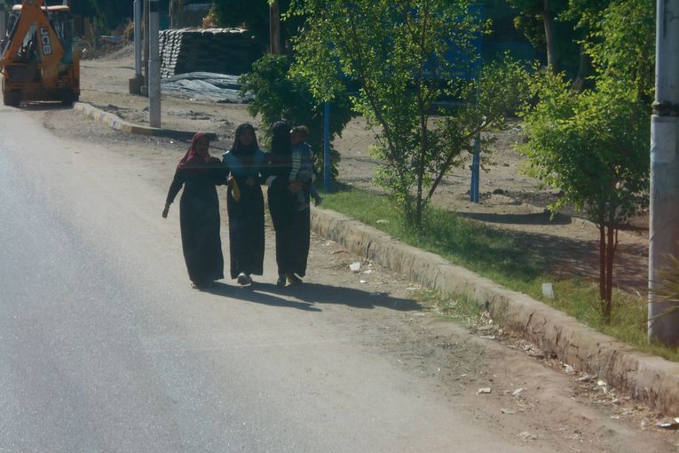 Edfú, Horus, el halcón..., por Juan Franco Crespo