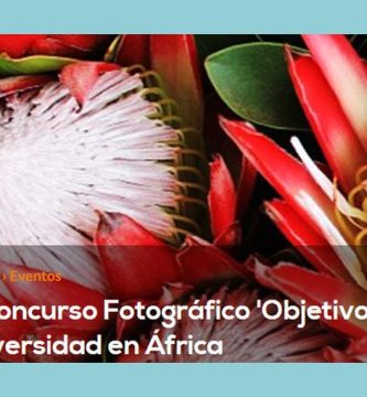 XIV Concurso Fotográfico Objetivo África