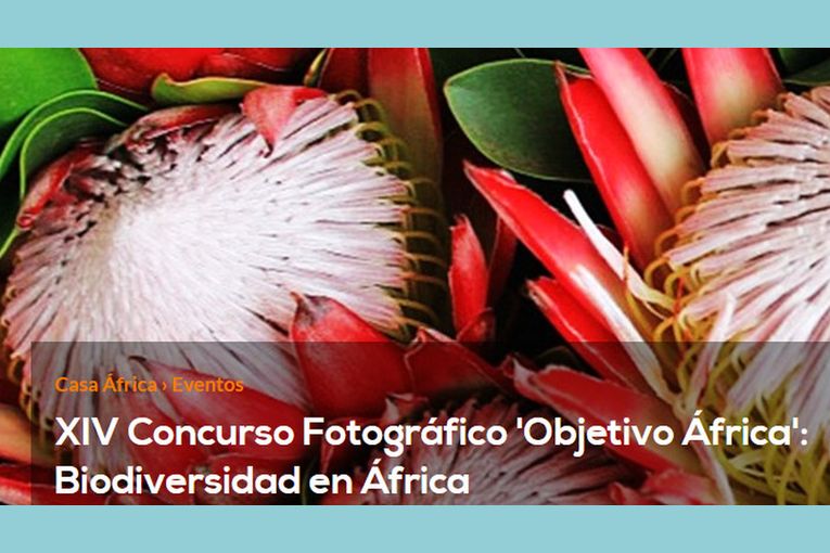 XIV Concurso Fotográfico Objetivo África