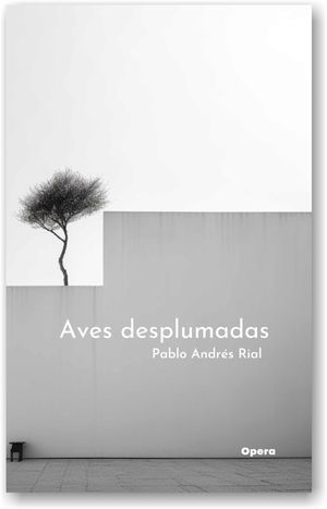 “Aves desplumadas”, de Pablo Andrés Rial