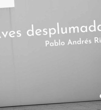 “Aves desplumadas”, de Pablo Andrés Rial