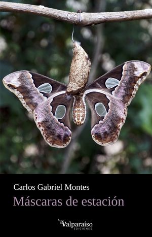 “Máscaras de estación”, de Carlos Gabriel Montes