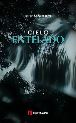 “Cielo entelado”, de Marión Canales Jofré