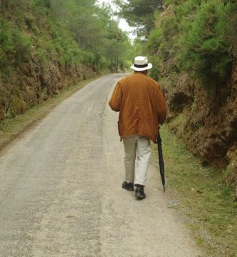 Remordimientos, por Vicente Adelantado Soriano