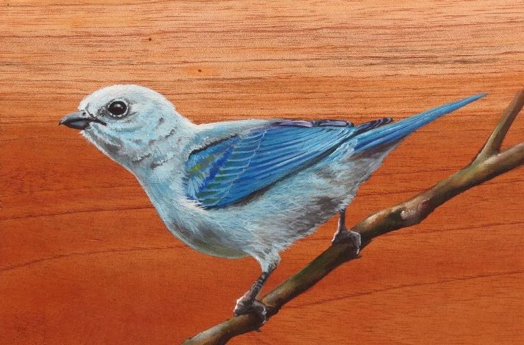 Pintura de Fernando Calle