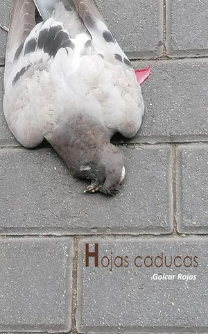 “Hojas caducas”, de Golcar Rojas