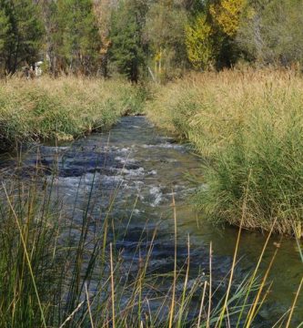 Un incesante devenir, por Vicente Adelantado Soriano