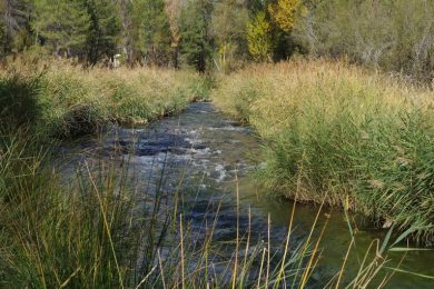 Un incesante devenir, por Vicente Adelantado Soriano