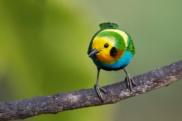 Fotografía de Juan José Arango Escobar