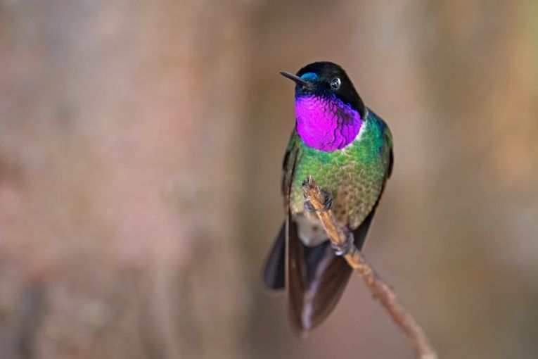 Fotografía de Juan José Arango Escobar