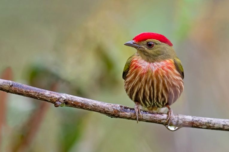 Fotografía de Juan José Arango Escobar