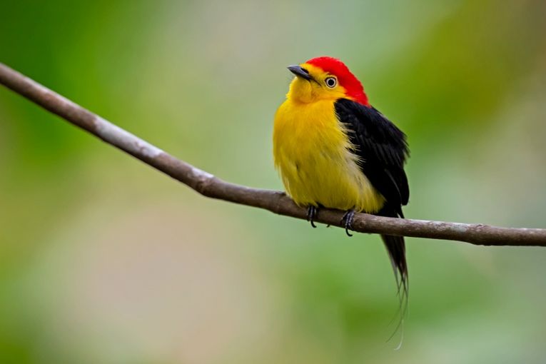 Fotografía de Juan José Arango Escobar