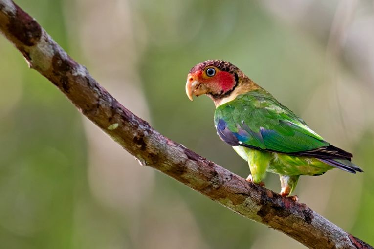 Fotografía de Juan José Arango Escobar