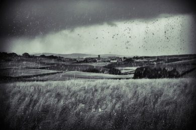 Egoísmo, por Vicente Adelantado Soriano