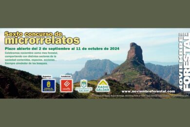 VI Concurso de Microrrelatos Noviembre Forestal 2024