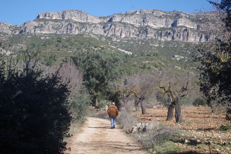 Añoranza, por Vicente Adelantado Soriano