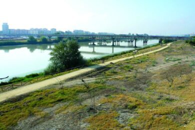 Proyectos, por Vicente Adelantado Soriano